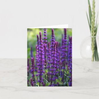 Lavender Flowers Card by RossiCards at Zazzle