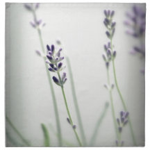 Lavender Flowers