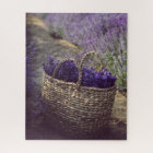 Lavender Flowers Field With Full Bag Of Flowers