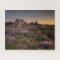 Lavender Flowers Hill And Field Village House View