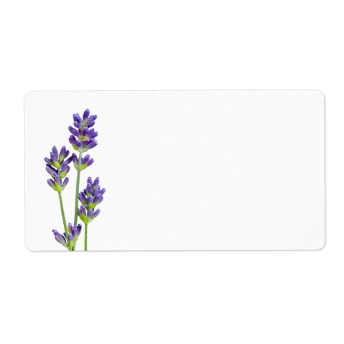 Lavender Flowers Isolated On White Background Label