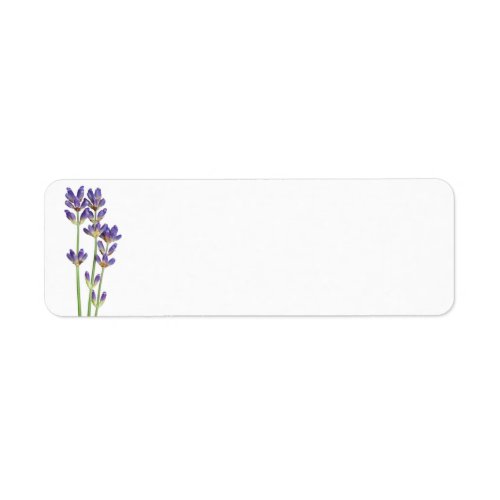 Lavender Flowers Isolated On White Background Label