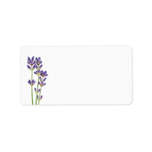 Lavender Flowers Isolated On White Background Label