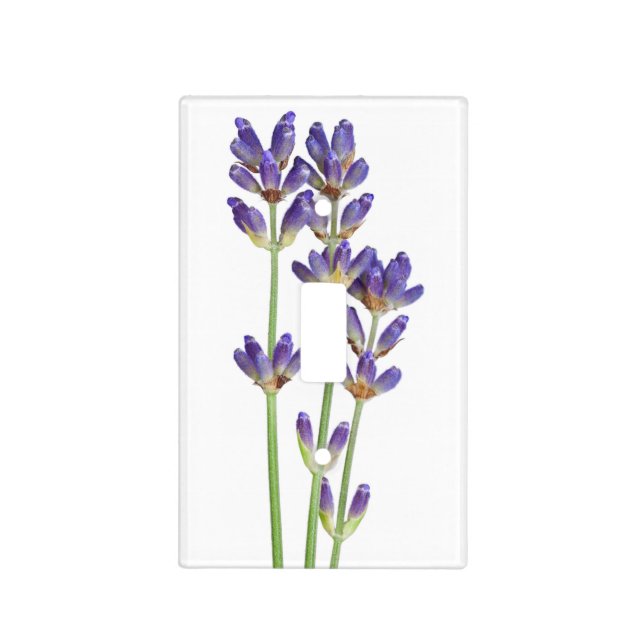 Lavender Flowers Isolated On White Background Light Switch Cover (Front)
