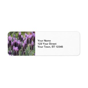 Lavender Flowers Label