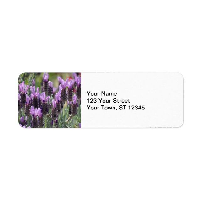 Lavender Flowers Label (Front)
