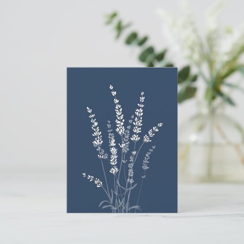 Lavender Flowers Postcard