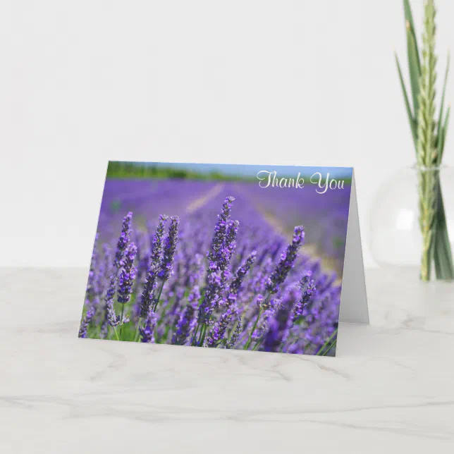 Lavender Flowers Pretty Purple Floral Thank You Card | Zazzle