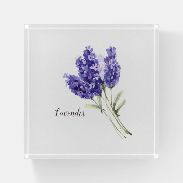 Lavender Flowers Watercolor Paperweight (Front)