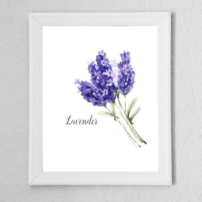Lavender Flowers Watercolor Poster (Creator Uploaded)