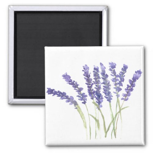 Lavender flowers watercolor rustic herbs  magnet