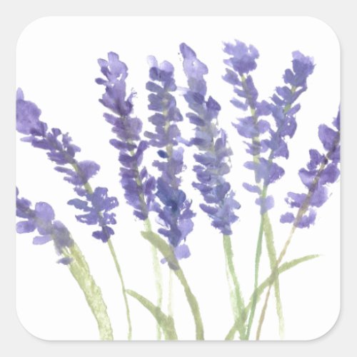 Lavender flowers watercolor rustic herbs square sticker
