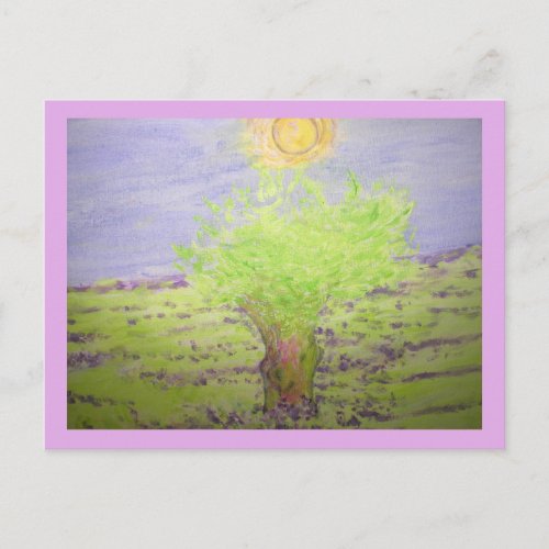Lavender Fragrance Postcard