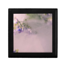 Lavender Frost Box