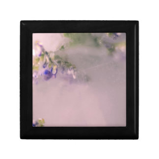 Lavender Frost Box