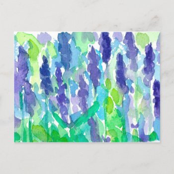 Lavender Garden Watercolor Painting  Postcard by CountryGarden at Zazzle
