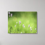 Lavender &amp; Green Photography Art Canvas Print at Zazzle