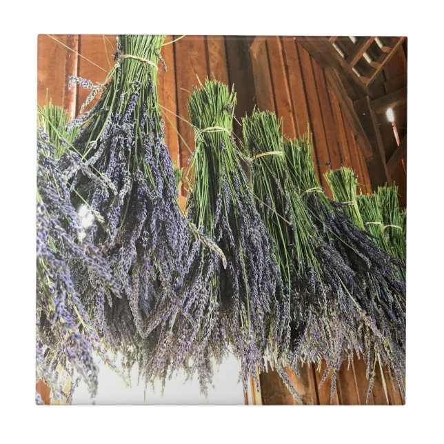 Lavender Hanging in a Barn Ceramic Tile (Front)