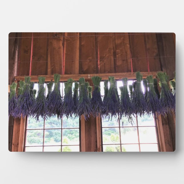 Lavender Hanging in a Barn Plaque (Front)