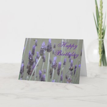 Lavender Happy Birthday Card by DonnaGrayson_Photos at Zazzle