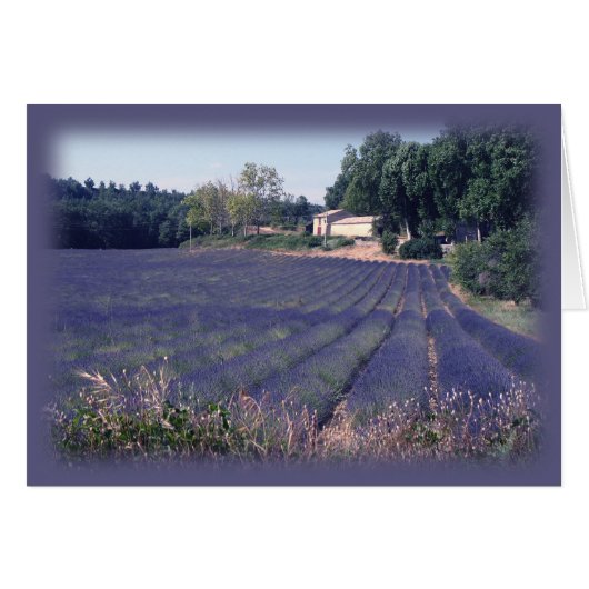 Lavender Haze Blank Art Card (Front Horizontal)