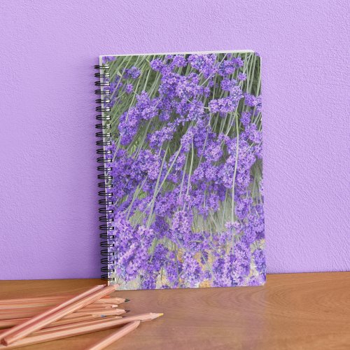 Lavender Herb Blooms Floral Notebook