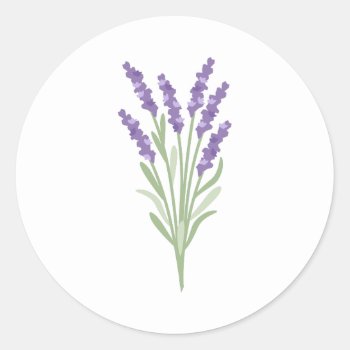 Lavender Herb Classic Round Sticker by HopscotchDesigns at Zazzle