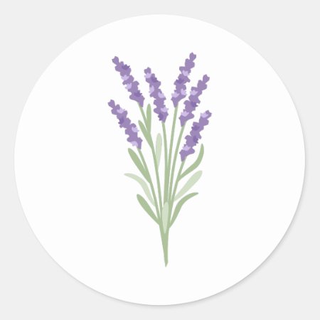 Lavender Herb Classic Round Sticker