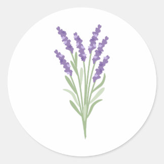 Lavender Herb Classic Round Sticker