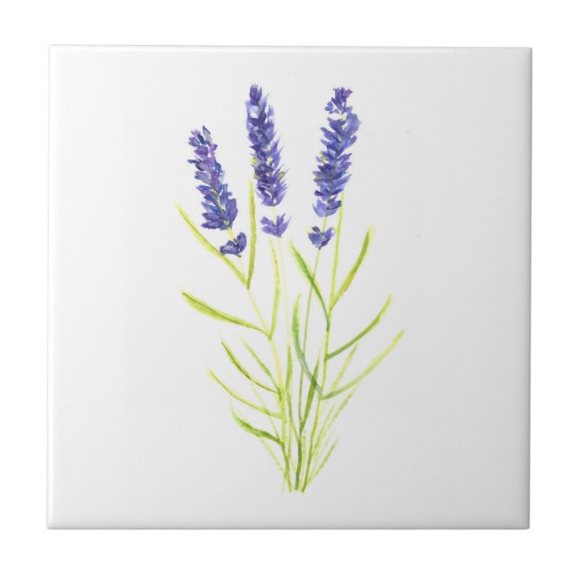 Lavender herb plant Purple floral Greenery  Ceramic Tile (Front)