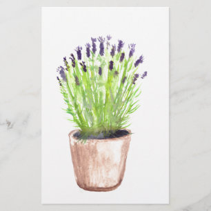 Lavender herb pot plant watercolor floral purple stationery