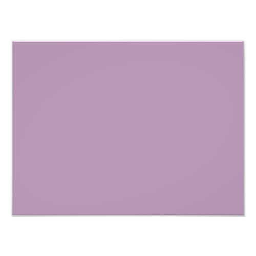Lavender Herb Purple Trend Color Background Photo Print