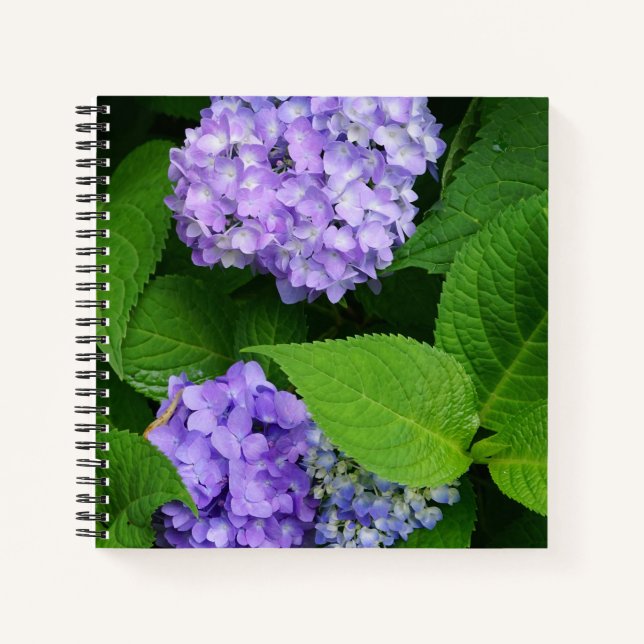 Lavender Hydrangea Notebook (Front)