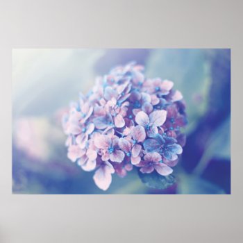 Lavender Hydrangea Poster by RosaAzulStudio at Zazzle