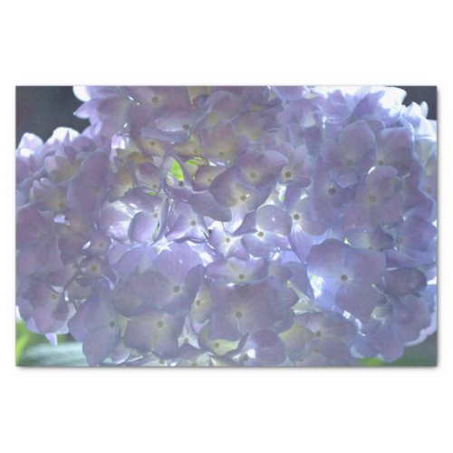 Lavender Hydrangea Tissue Paper
