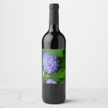 Lavender Hydrangea