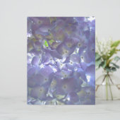 Lavender Hydrangeas purple flowers (Standing Front)
