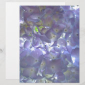 Lavender Hydrangeas purple flowers (Front/Back)