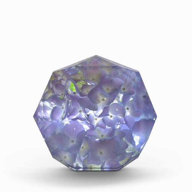 Lavender Hydrangeas purple flowers  Award (Front)