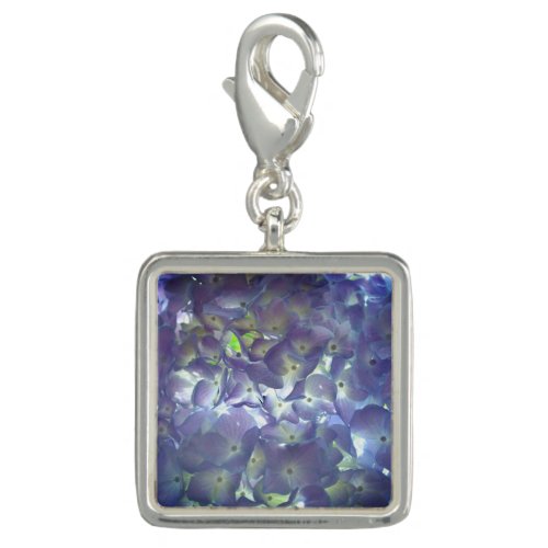 Lavender  Hydrangeas purple flowers  Charm