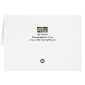 Lavender in Provence, S Cyr Cards (Back Horizontal)
