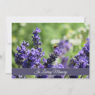 Lavender & Ladybug Memorial Service Announcement