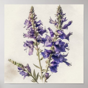 Lavender Larkspur Flower Art Print Poster