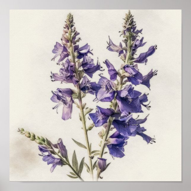 Lavender Larkspur Flower Art Print Poster (Front)