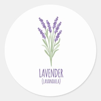 Lavender Lavandula Classic Round Sticker by HopscotchDesigns at Zazzle