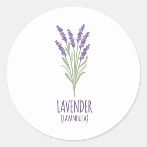 Lavender Lavandula Classic Round Sticker