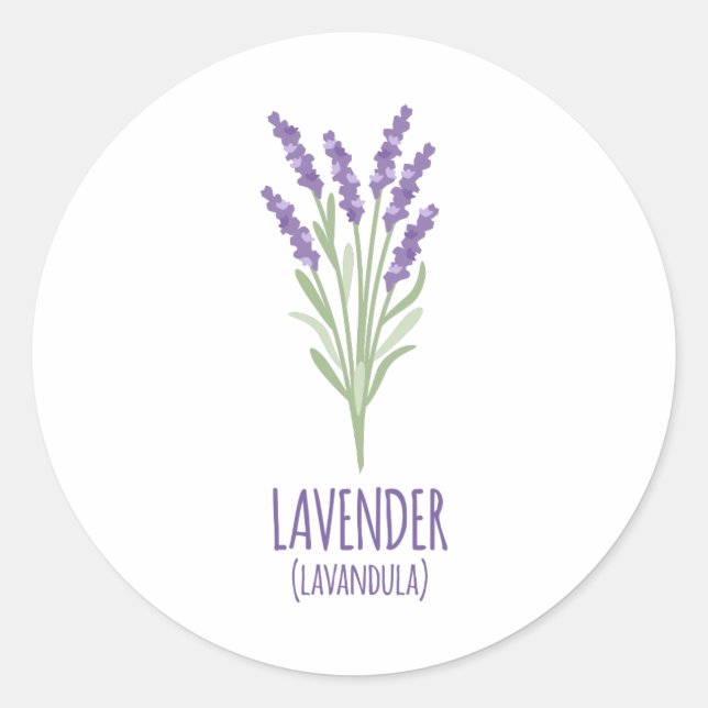 Lavender Lavandula Classic Round Sticker (Front)