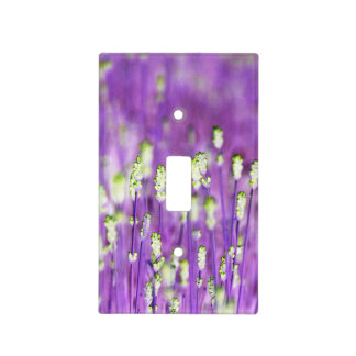 Lavender Light Switch Plates