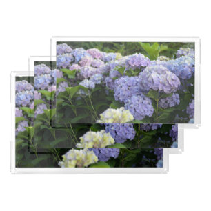 Lavender & Lilac Hortensia Hydrangea Flowers Acrylic Tray