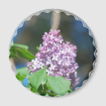 Lavender Lilac  Magnet